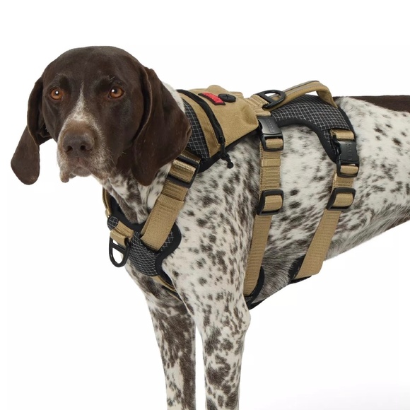 NWT KONG DOG SAFETY TAN ZIPPER POUCH HARNESS - Picture 1 of 11